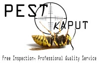 Pest Kaput Chelmsford Pest Control 372041 Image 0